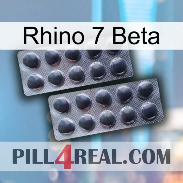 Rhino 7 Beta 31.jpg